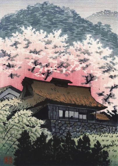 A view looking up over green trees at a traditional thatched-roof cottage standing on tall stone foundations. Just behind the cottage, tall cherry trees are in full bloom, their branches packed with pink and white blossoms. Further on, a shadowy hillside rises into an overcast sky