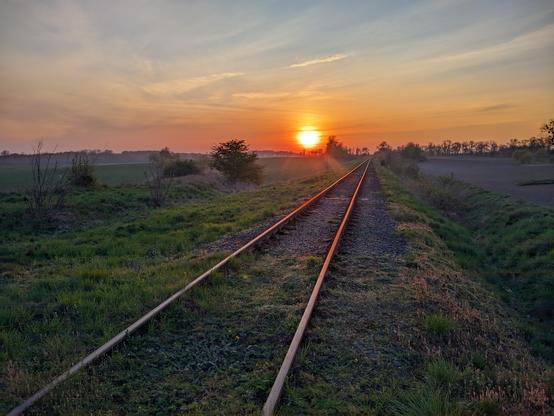 Słońce zachodzące nad znikającymi w oddali torami kolejowymi.