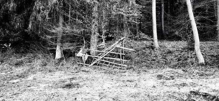 black and white photograph showing the entry into a forest, a damaged high seat is lying on the ground