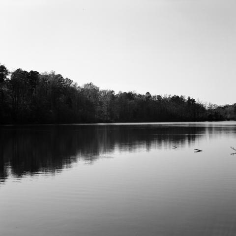 A view across a cove of the lake, trees reflected in the relatively still water