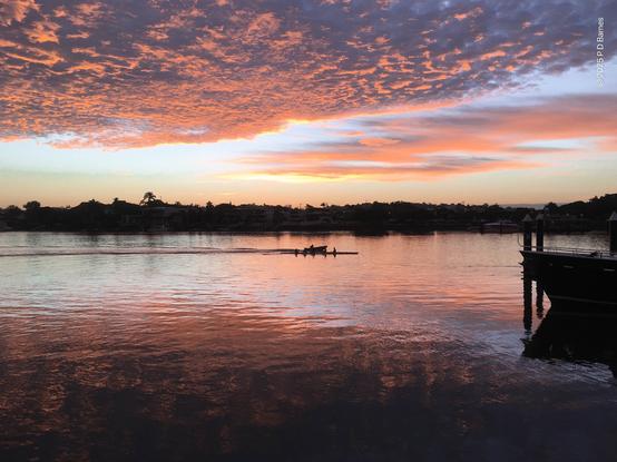 A fiery pink cloud bank covers most of the sky, and is reflected in the Brisbane river at dawn. The opposite bank of the river is dark, silhouetted against the coming sun, while in the middle of the river some dark silhouetted rowers are accompanied by a coach in a "tinny".