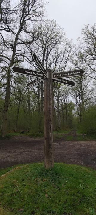 Un poteau d'indication de direction dans une forêt avec des panneaux dans plusieurs directions en étoile