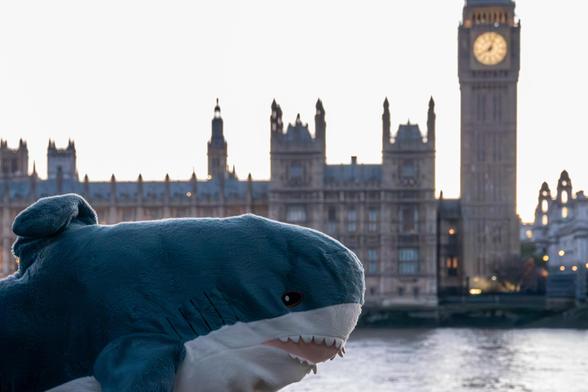 A blue and white Blåhaj Ikea shark is in front of the wide river Thames, and behind that the UK Houses of Parliament and Big Ben