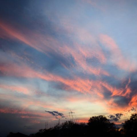 A picturesque view of a sunset sky. Streaks of vibrant pink and orange clouds stretch across a predominantly blue canvas, with hints of darker grey clouds interspersed. The lower portion of the image shows the silhouetted tops of trees against the bright horizon.