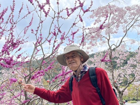 Pointing to a Daruma doll on one of the beautiful trees