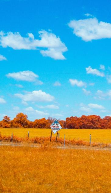 A hat together road sign on the side of a dirt track that says road closed 500 feet. The evergreen trees and grass have been burned gold by infrared light and the sky an ombre of blue and white scattered clouds drifting up and down.
