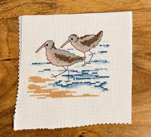 A cross stitched design of two Sandpiper birds wading in water by a sandy beach.