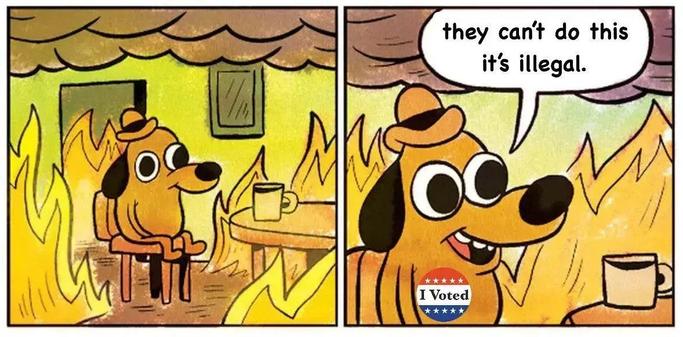 This is fine dog meme format. A cartoon dog in a little hat sits on a chair at a table with a coffee cup. The room is on fire and full of smoke. The dog is wearing a pin that says "I voted." The dog is saying "They can't do this it's illegal."