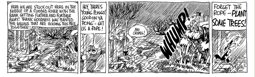 1. Wal and Dog are stranded on a small island in the flood 'HERE WE ARE STLICKOUT HERE IN THE MIDDLE OF A FLOODED RIVER WITH THE BANK GETTING FURTHER AND FURTHER AWAY! THANK GOODNESS WAL' PLANTEL HE WILLOWS THAT ARE HOLDING THIS PIECE TOGETHER!'

2. Wal 'HEY, THERE'S YOUNG PONGO!
GOODON YA PONG'- GET US A ROPE!'

3. The cliff collapses in front of young Pongo

4. Dog 'FORGET THE ROPE -PLANT SOME TREES!'