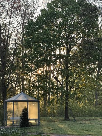Die Morgensonne scheint durch die Bäume. Ein Gläserner Pavillon leuchtet im Licht.