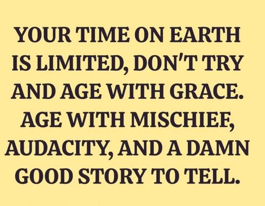 Text on plain background:
Your time on earth
is limited, don't try
and age with grace.
Age with mischief,
audacity, and a damn 
good story to tell.