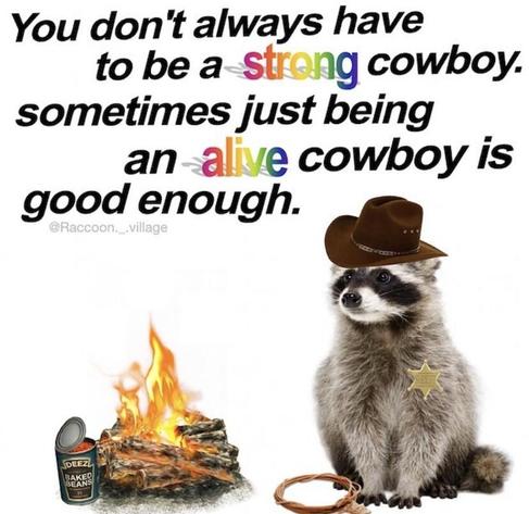 Text reads:
you don't always have to be a strong cowboy. sometimes just being an alive cowboy is good enough.

below the text is a picture of a trashpanda (raccoon) dressed as a cowboy, sitting by a Campfire.