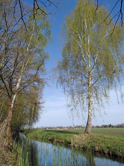 rěčka Struga pola Slěpego