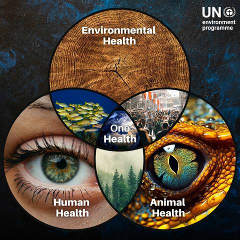 A Venn diagram showing the interlinkage of environmental health, human health and animal health with the words "One Health" in the centre.