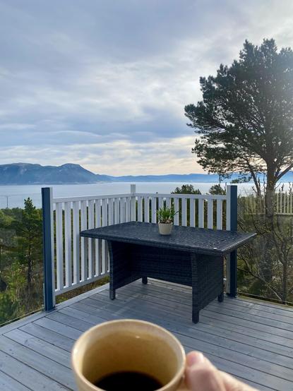 Utsikt mot Trondheimsfjorden og Rissa fra en terrasse. En kremfarget kaffekopp i forkant av bildet og ei høy furu til høyre. Sola er i ferd med å bryte gjennom skydekket.
