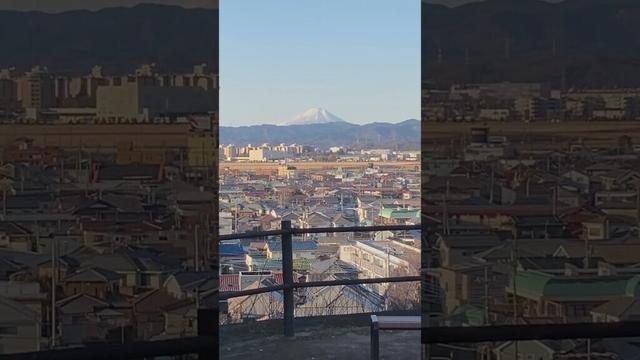 [瑞穂町]都立野山北・六道山公園 夕日台展望広場から見る富士山 #tokyo #travel #shorts