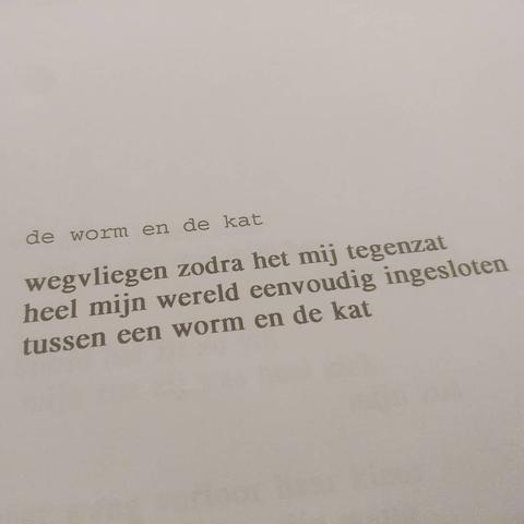 Foto van een geprint gedicht met de titel 'de worm en de kat':
Wegvliegen zodra het mij tegenzat/heel mijn wereld eenvoudig ingesloten/tussen een worm en een kat.