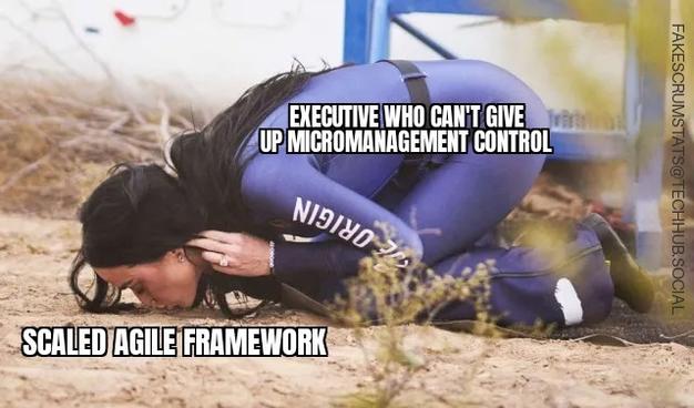 Katy Perry (labeled "Executive who can't give up micromanagement control") kneeling down to kiss the Earth (labeled "Scaled Agile Framework")