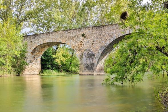 Puente de piedra formado por dos arcos rodeado de árboles.