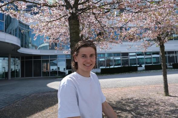 Emil Alefelder under a cherry blossom tree