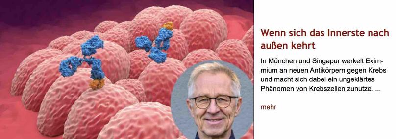 Computer-generiertes Bild von zwei blauen Antikörpern, die auf einer Ansammlung von roten Krebszellen sitzen. Als rundes Inset rechts unten ins Bild eingesetzt ist ein Porträtfoto des Eximmium-Gründers Reinhard Zeidler. Rechts davon Überschrift "Wenn sich das Innerste nach außen kehrt" des im Post verlinkten Artikels, gefolgt von dessen Vorspann.
