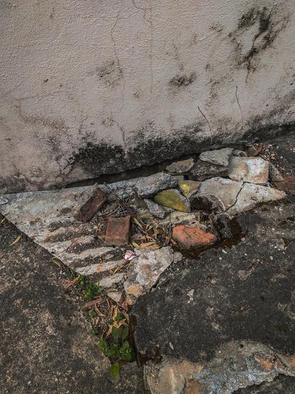 A photo of materials and textures. Half of the image towards the top is a wall painted beige with water marks on it. The wall has fungus growing on it and has seepage spots on it along with paint cracks. 

Beneath the wall, there is the concreted ground in the lower half of the image. The concrete has cracked in several spots and is covered with dirt and black, brown and red fungus. Where the wall meets the ground, there are a bunch of building materials laying on the ground. Chief among which are a piece of corrugated cement sheet, some bricks and some broken cement rocks. On the boundary of these materials, there are tiny plants and brown-red fungi growing.