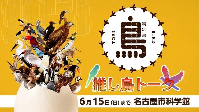 学芸員と高柳明音が推し鳥トーク！　一生分の鳥が見られる？！特別展「鳥」＠名古屋市科学館  6/15(日)まで