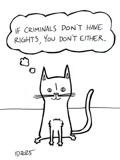 a cat sits and thinks "if criminals don't have rights, you don't either."