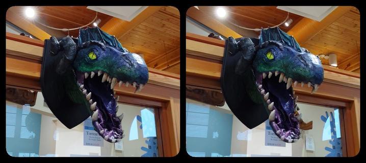 A dark purple dragon's head mounted like a trophy. Mouth open, greenish lips, plenty of fangs. Looks like it might be papier-mâché. Stereoscopic, parallel view.