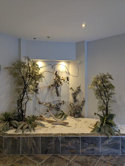 a white lobby with a desert like plant display. there are two bigger palm like trees, sand and some logs on the ground. two lights mounted on the wall are shining on the display