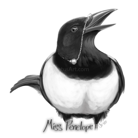 A black and white drawing of a frontal view of a black-billed magpie with a shiny, polished beak. She's wearing a gold chain connected to a nasal ring with a  pearl and a silver bead dangling on the visible right side of it.