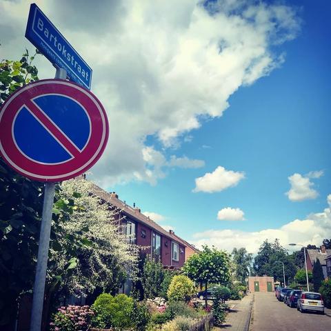Rustige straat met 70-er jaren nieuwbouw huizen. Veel groen en bloeiende planten en struiken. Blauwe lucht met ook schaapjeswolken. Op de voorgrond een straatnaambord met daarop een 'verboden te parkeren' bord bevestigd. De staatnaam is Bartokstraat. Daaronder staat in kleine letters 'Hongaars componist 1881-1945.