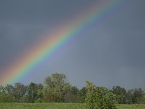 Lato sinistro di un arcobaleno sopra un paesaggio con erba e alberi

Left end of a rainbow over a landscape with grass and trees
