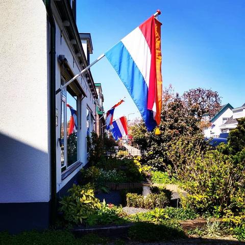 Een doorkijkje een straat in langs talloze gevels. Alle gevels hebben een stok met een Nederlandse vlag. Daarboven blauwe lucht en meer naar de grond veel groen van de voortuintjes.