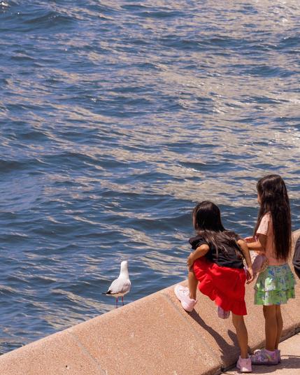 The image shows two children near a body of water watching a seagull on a concrete edge. The children are standing very close to the bird, appearing curious or engaged with it. The water reflects sunlight, creating a rippled effect on its surface.