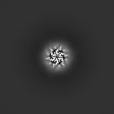Amyloid polymorph 2 of an antimicrobial peptide