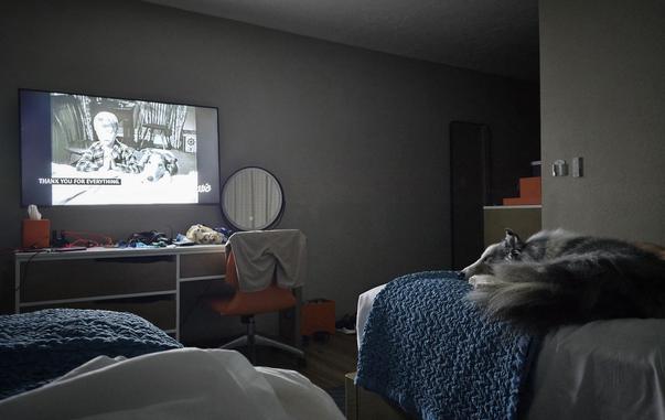 A sleepy dog laying on the foot of a bed in a hotel room. The TV show "Lassie" is on in the background.