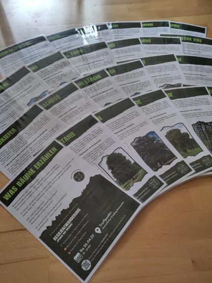 Dieses Bild zeigt viele laminierten Infoblätter, die auf einem Holztisch ausgebreitet sind. Es handelt sich um Informationskarten über verschiedene Baumarten. Jedes Blatt trägt oben den Namen eines Baumes, wie z. B. „Schwarzpappel“, „Tanne“, „Walnuss“ oder „Traubeneiche“. Manche Blätter enthalten auch Fotos der jeweiligen Bäume.