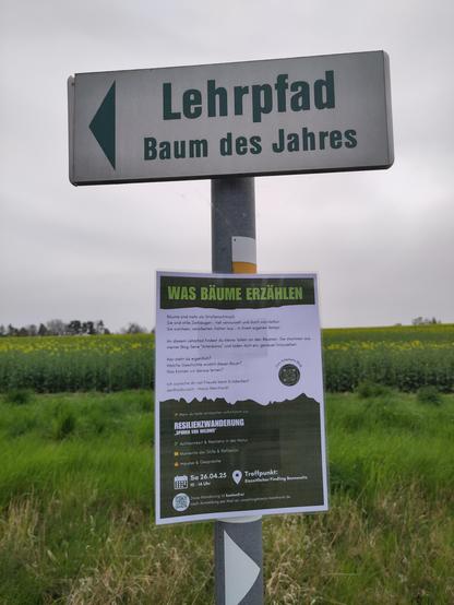 Das Foto zeigt ein Schild am Wegesrand. Oben steht in großen, grünen Buchstaben: „Lehrpfad – Baum des Jahres“. Darunter ist ein Plakat befestigt mit der Überschrift „WAS BÄUME ERZÄHLEN“.