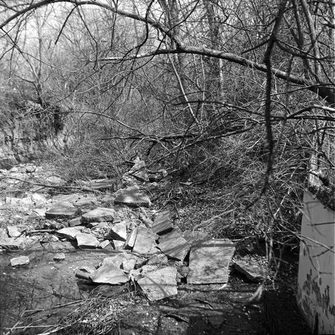 A woody ravine filled with randomly scattered concrete "tiles."