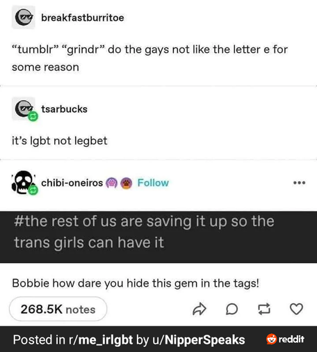 A conversation between multiple people:
A: tumblr grindr do the gays not like the letter e for some reason
B: its lgbt not lgbet
C: the rest of us are saving it up so the trans girls can have it