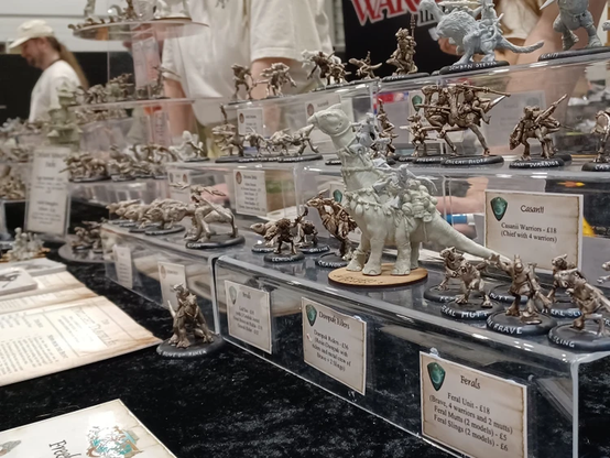 A display of the Twilight miniatures from the Anyaral universe - dinosaurs and lizards