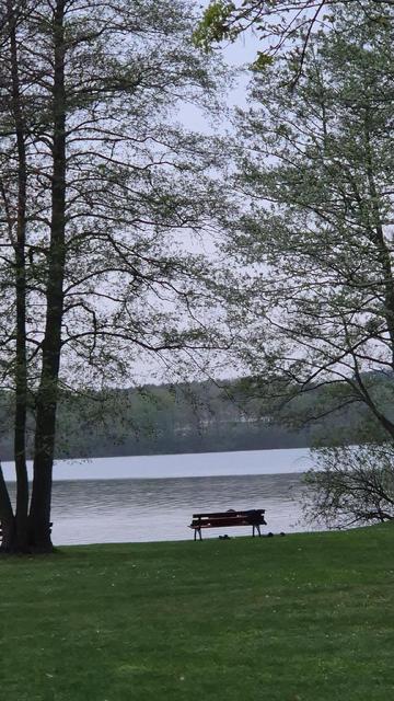 Panoramaaufnahme Bank am Scharmützelsee mit ruhigem Wasser, Wald im Hintergrund, leicht bewölkter Himmel.