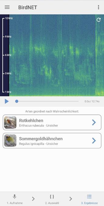 Screenshot der App BirdNET, die Vogelstimmen mit Hilfe künstlicher Intelligenz analysiert. Die Aufnahme zeigt ein Spektrogramm mit Frequenzbereichen zwischen 1 und 12 kHz. Unten erscheinen zwei erkannte Arten: Rotkehlchen (Erithacus rubecula) und Sommergoldhähnchen (Regulus ignicapilla), beide mit dem Hinweis „unsicher“.