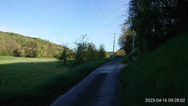Pré et forêt en haut des coteaux près de l’île Bouchard