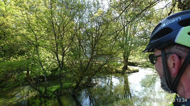 Arbres et soleil printanier sur l'Indre à Azay-le-Rideau sous le regard admiratif d'un cycliste