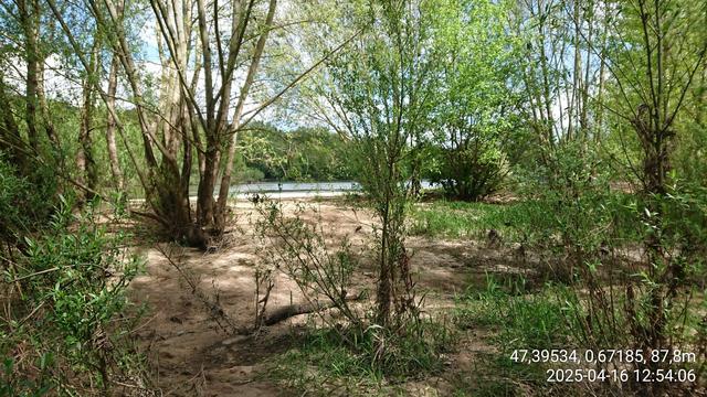 La Loire et ses bancs de sable limoneux boisés luxuriants à l'ouest de Tours, côté est (amont).