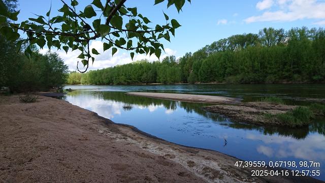 La Loire et ses bancs de sable limoneux boisés luxuriants à l'ouest de Tours, côté ouest (aval).