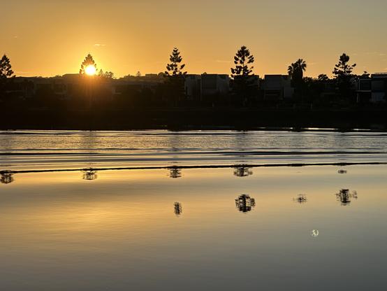 View across the Brisbane river just as the sun rises behind houses on the opposite bank. It's shining through one of a row of pine trees, the glow in the sky reflected on the river, which is smooth in the foreground but rippled further away with the passage of a ferry. The reflections of the pine trees are now intermittent.