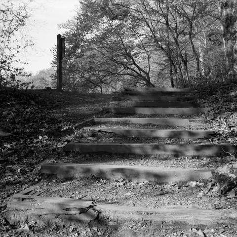 Stairs.  To where?  Wherever you want them to go.
